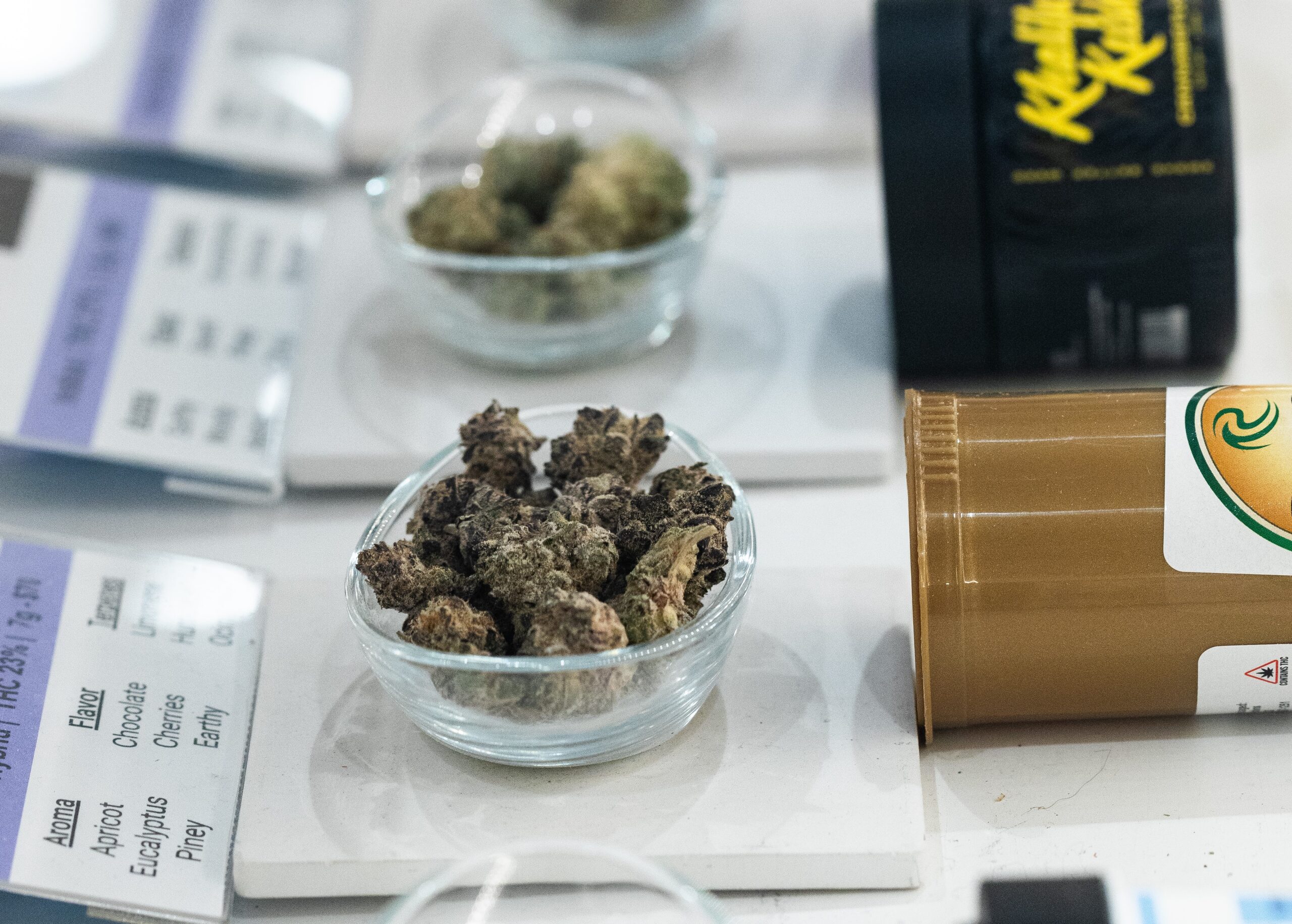 Elevated-Roots-BGT-8465 Elevated-Roots-BGT-8465