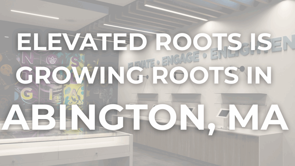Elevated Roots’ new cannabis dispensary opening in Abington, Massachusetts. Features modern retail interior and campaign text “Elevated Roots is growing roots in Abington, MA,” highlighting expansion in the Greater Boston area.
